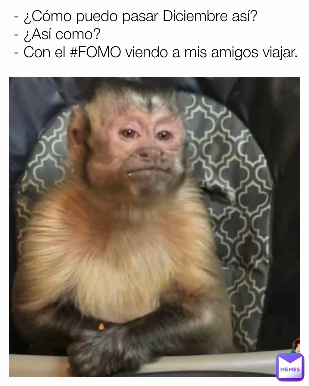 - ¿Cómo puedo pasar Diciembre así?
- ¿Así como?
- Con el #FOMO viendo a mis amigos viajar.

