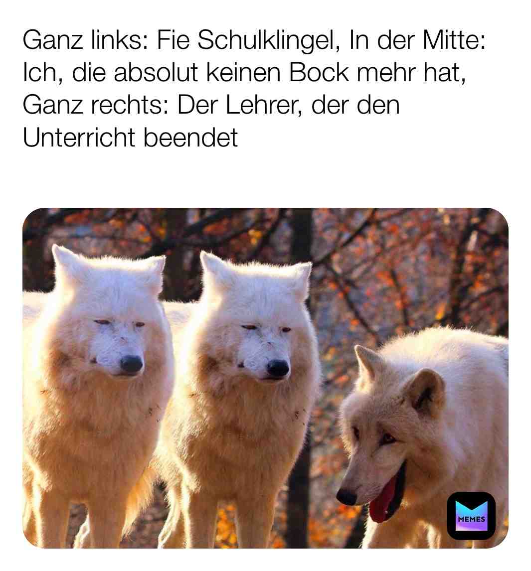 Meme preview