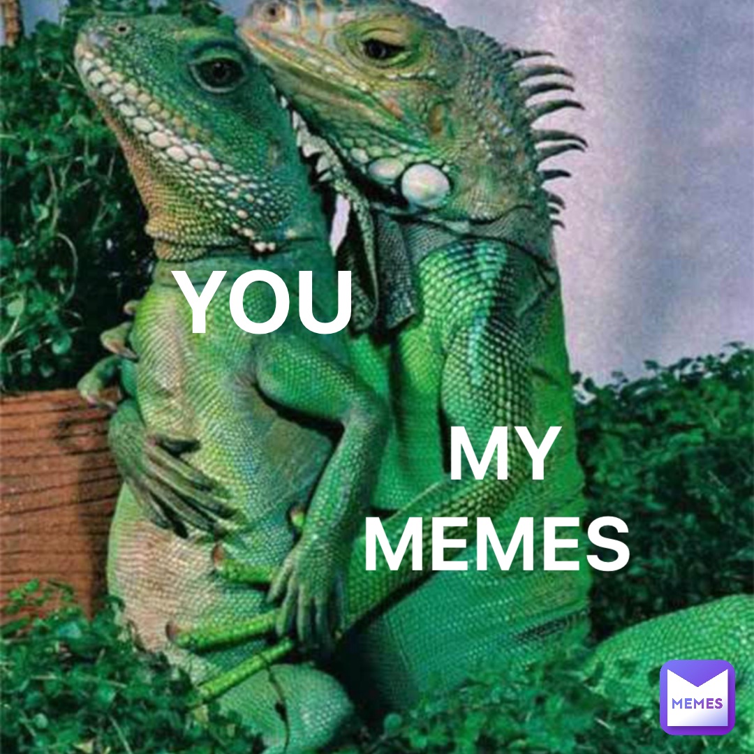 YOU MY 
MEMES