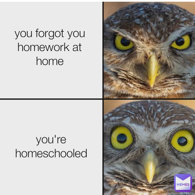 you forgot you homework at home you're homeschooled