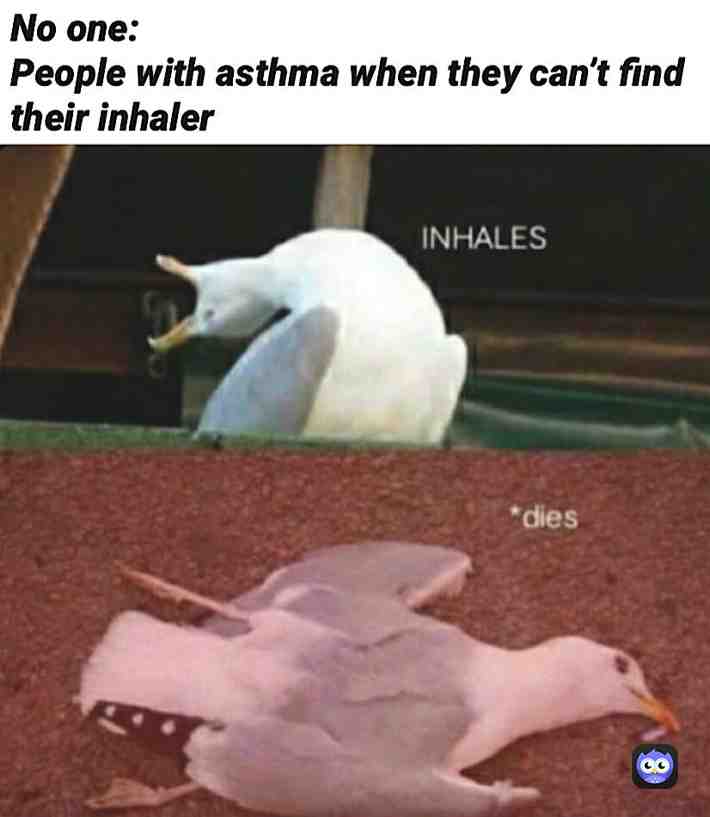 Lmaoo