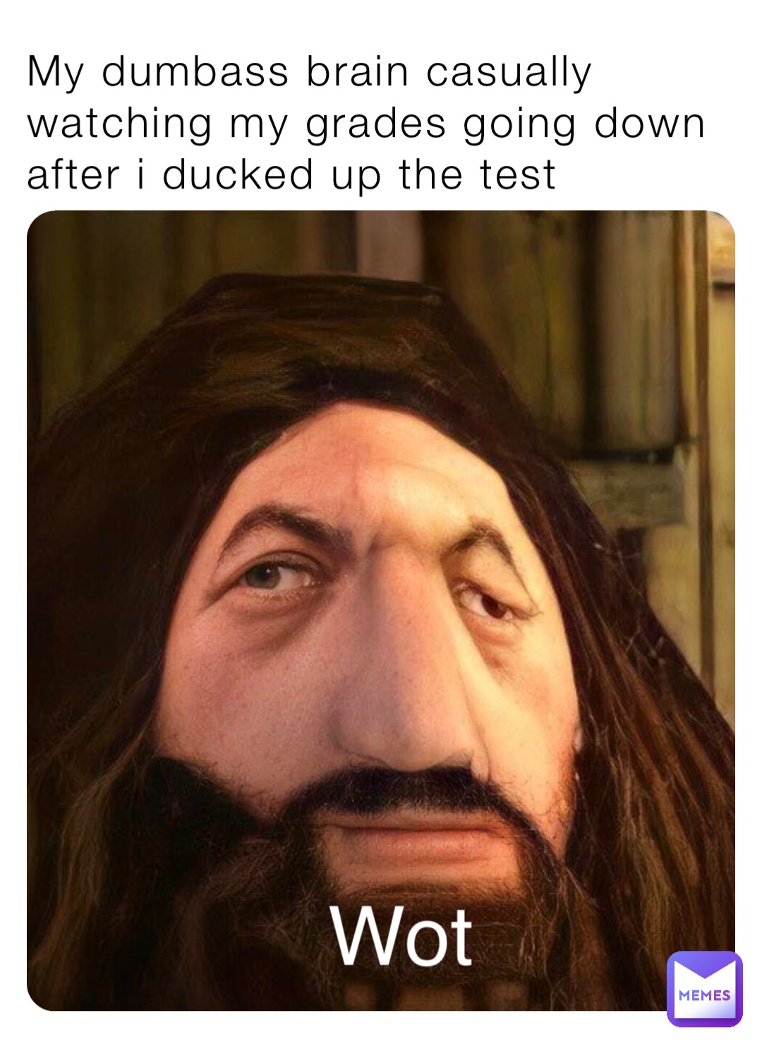 My dumbass brain casually watching my grades going down after i ducked up the test Wot