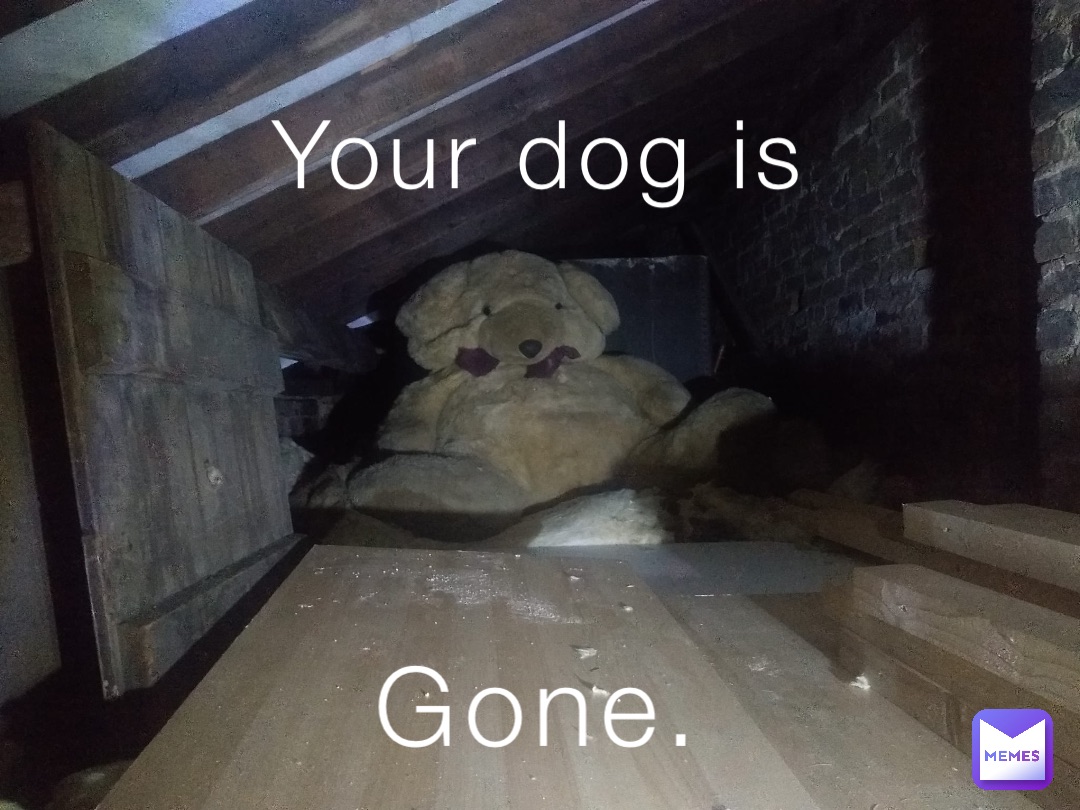 Your dog is Gone.