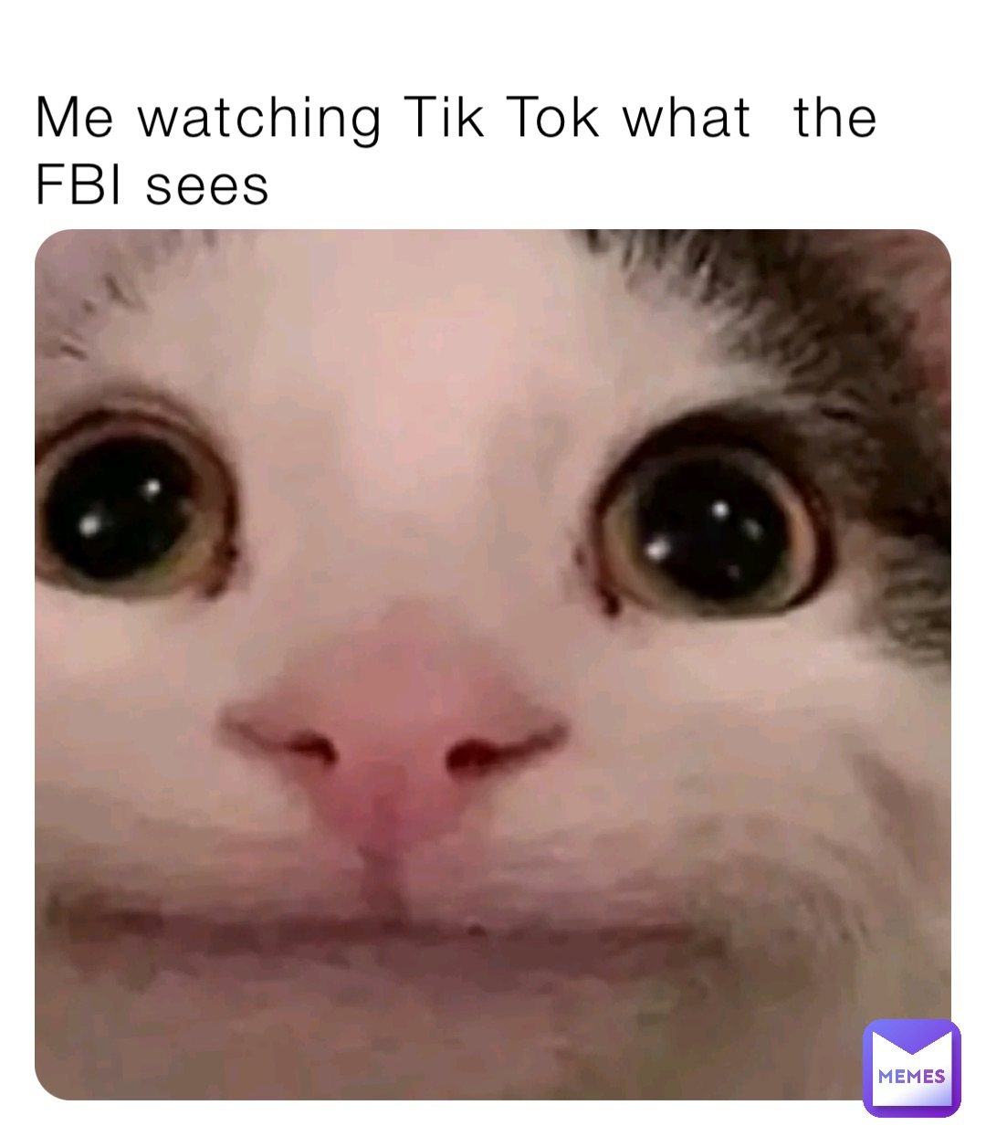 Me watching Tik Tok what  the FBI sees