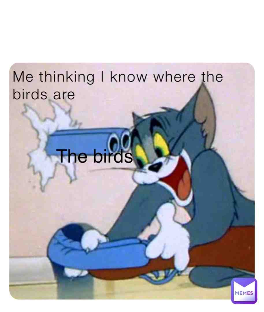 Meme shared by @finz1108
