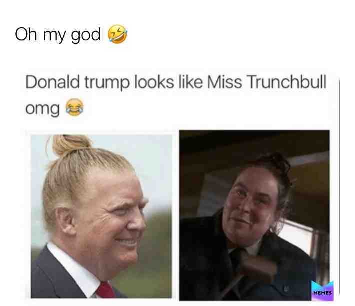 #donaldtrumpmemes