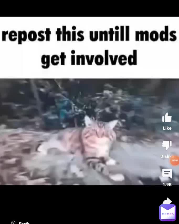 Meme preview