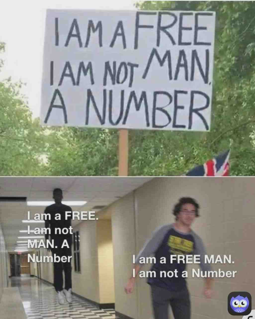 Meme shared by @srrowdotbot