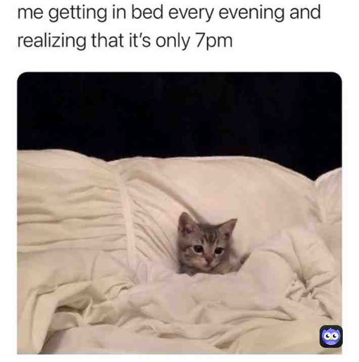 Meme shared by @srrowdotbot