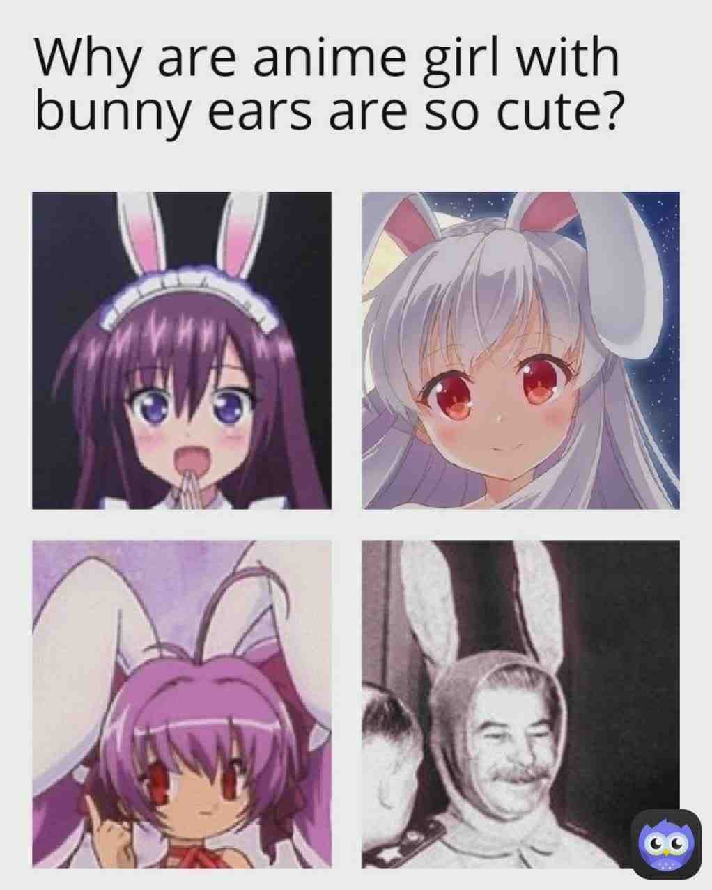 Meme shared by @srrowdotbot