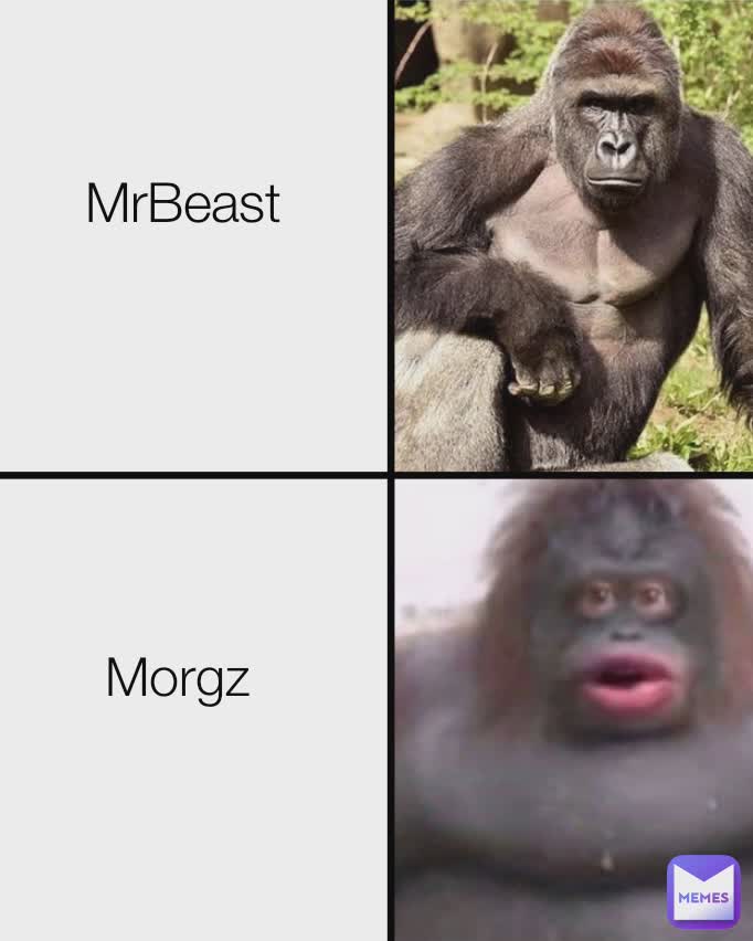 Type Text MrBeast MrBeast Morgz | @Aconz0F | Memes