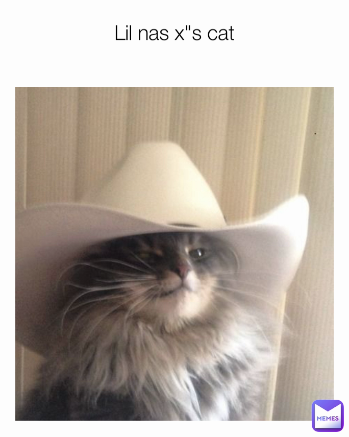 Lil nas x"s cat
