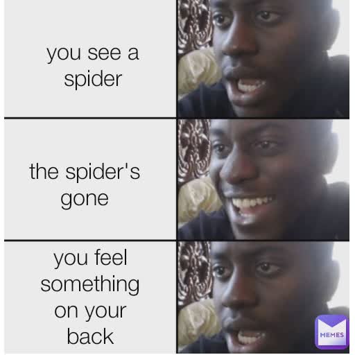 you see a spider you see a spider the spider's gone you feel something on your back