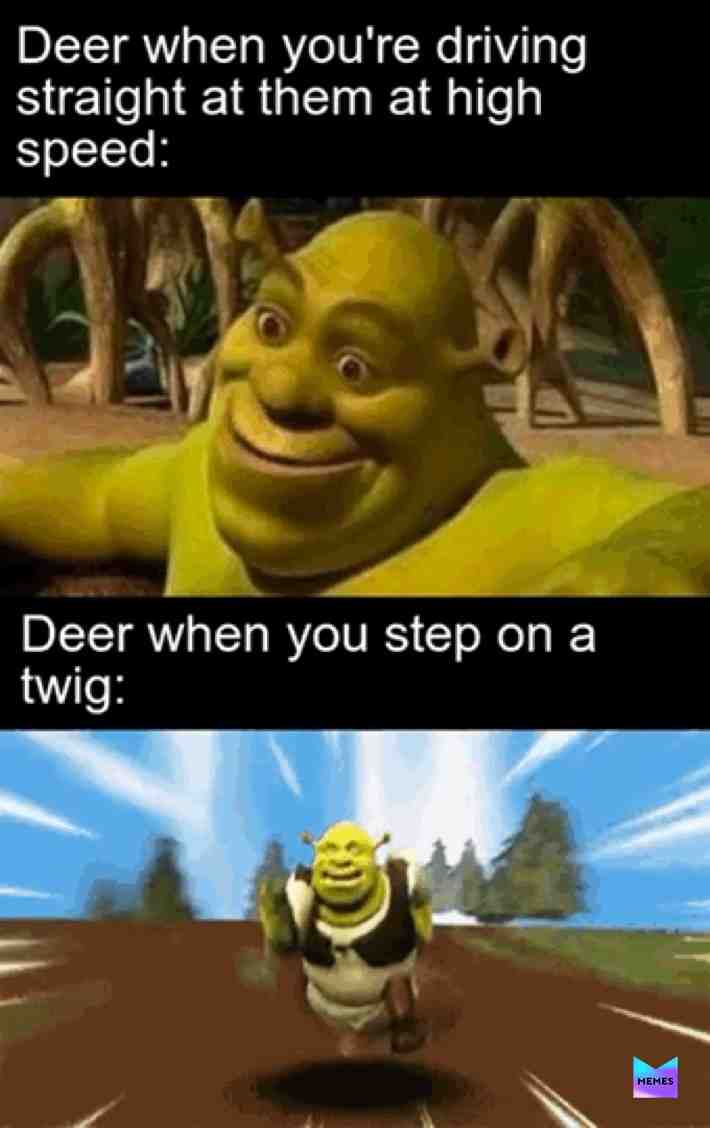 Meme shared by @memerboyboyman