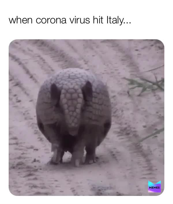 Meme shared by @memerboyboyman