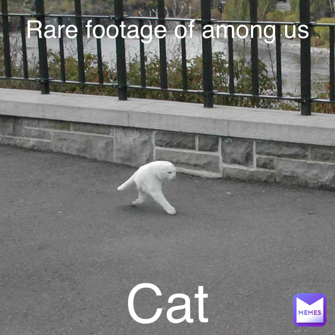 Double tap to edit Rare footage of among us Cat