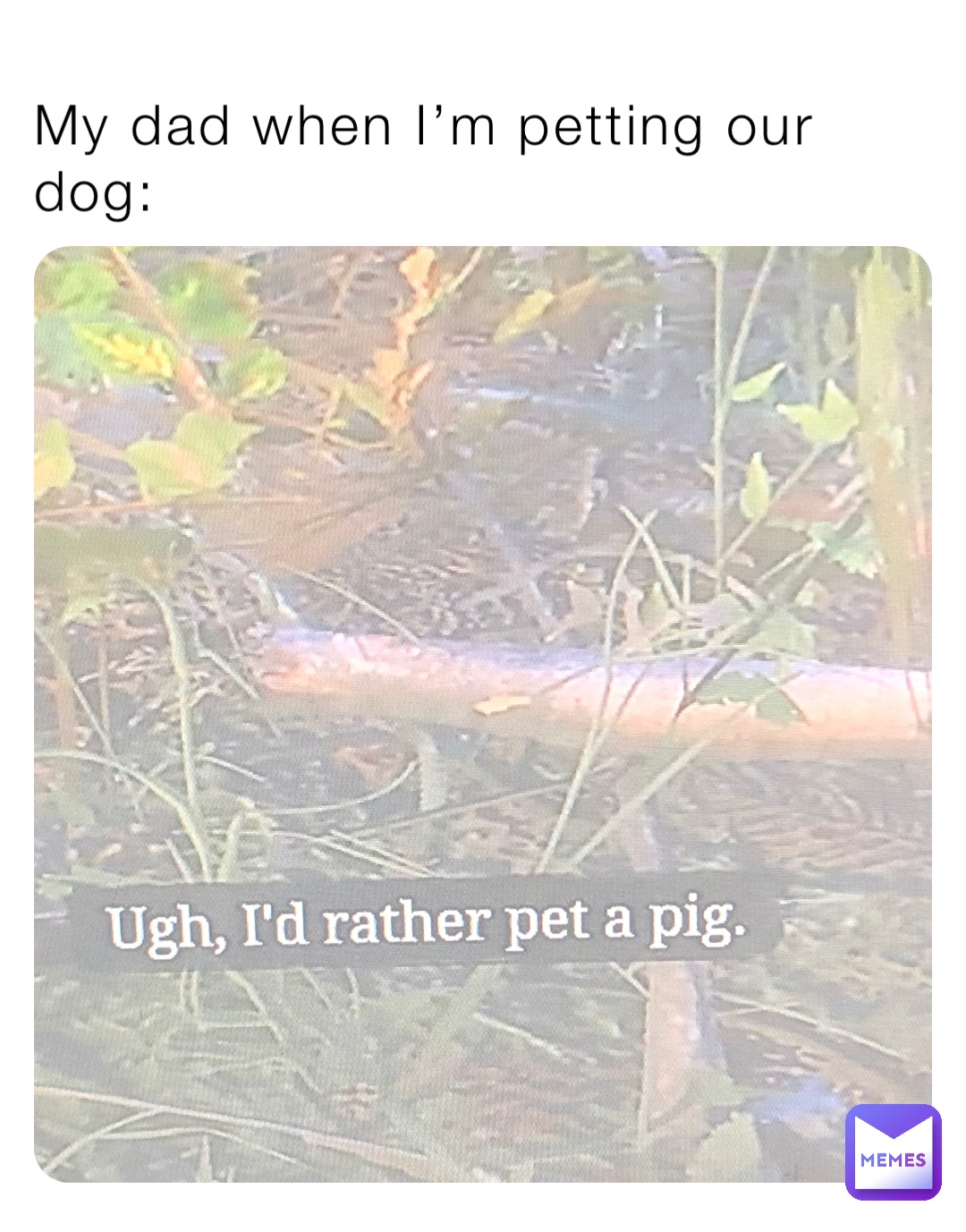 Meme by thomasmkoolman