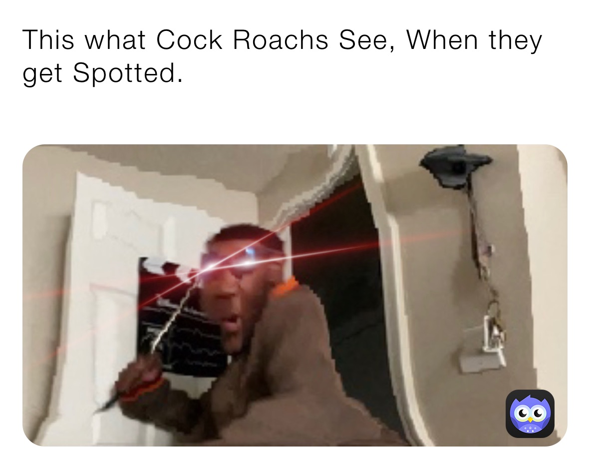 This what Cock Roachs See, When they get Spotted.
