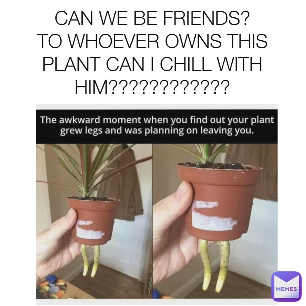 CAN WE BE FRIENDS?
TO WHOEVER OWNS THIS PLANT CAN I CHILL WITH HIM????????????

