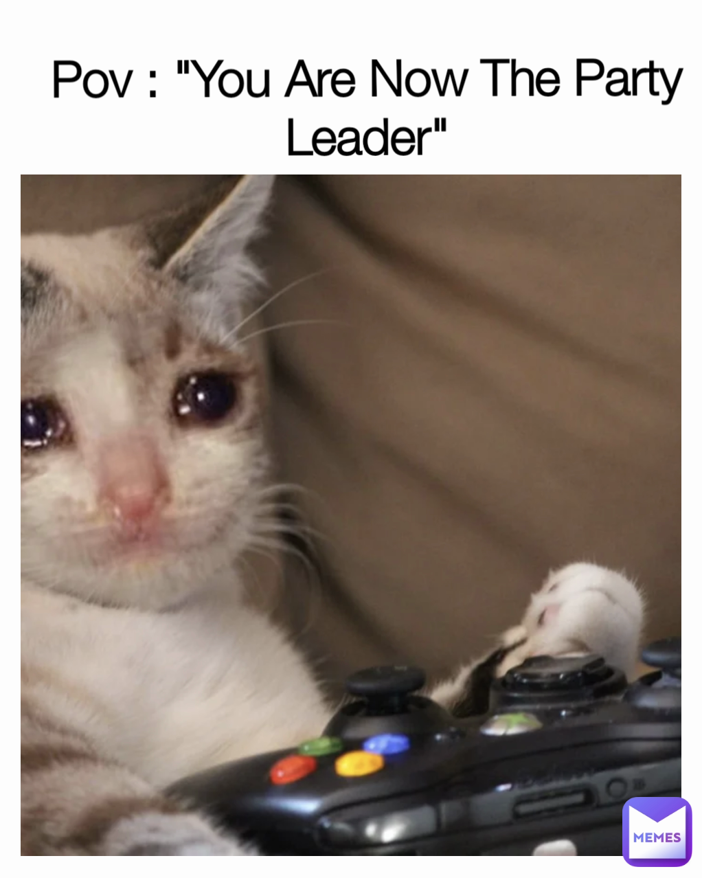 Pov : "You Are Now The Party Leader"