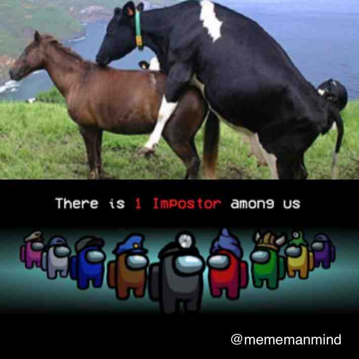 Always these imposters
.
.
.
.
.
.
.
 #meme  #cow  #horse  #sus  #mememanmind  #funny  #joke  #memesdaily  #nice  #farmlife  #amongus  #farmingmemes