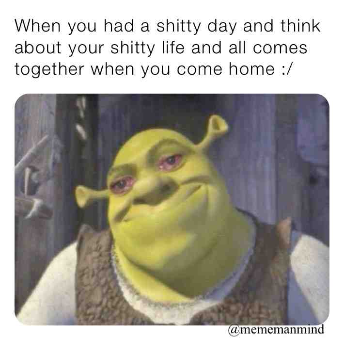 #funny  #meme  #memestagram  #mememanmind ​ #shrek ​ #cry