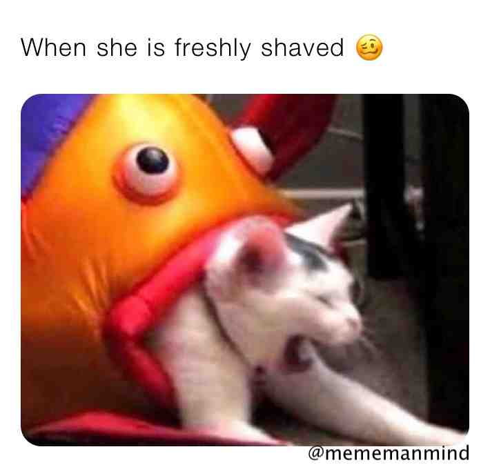 Tag bae
.
.
.
.
.
.
 #mememanmind  #start  #content  #premiumcontent  #surpremecontent  #memesdaily  #lfl  #sfs  #professionalmemer  #nice  #funnyday  #memeadayjeepsdocaway  #selfcare  #sus  #usa  #germany  #austria  #lgbt  #community  #pleaseleaveafollow  #24/7  #hustle  #goal100  #choochi  #pussy  #fresh  #shaved  #horny