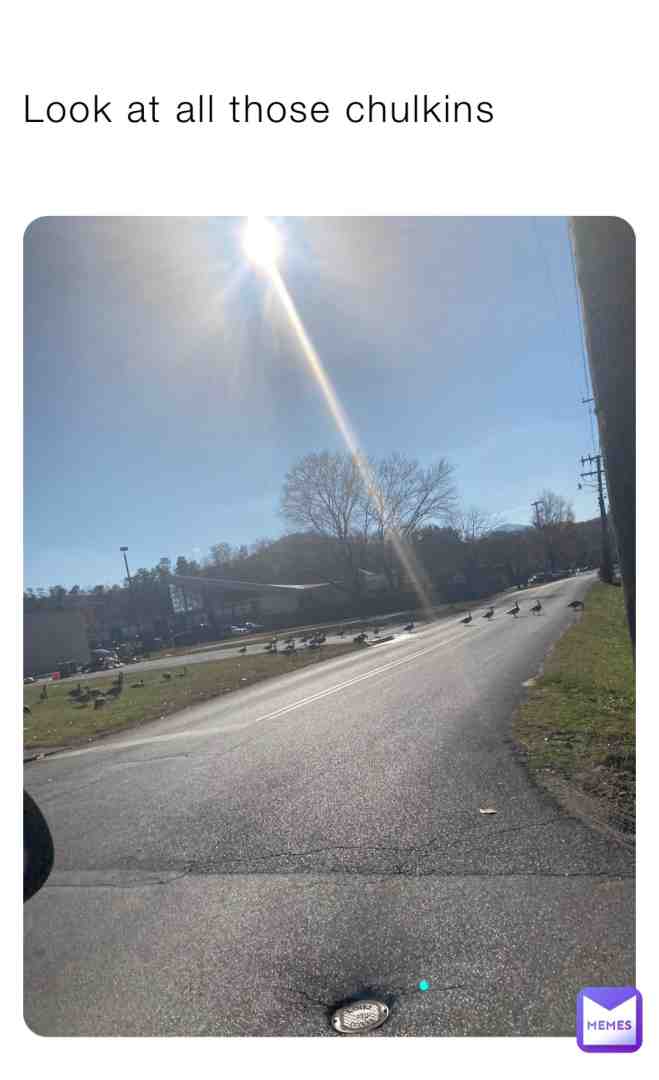 #what #chicken #road #tennessee #chulkin