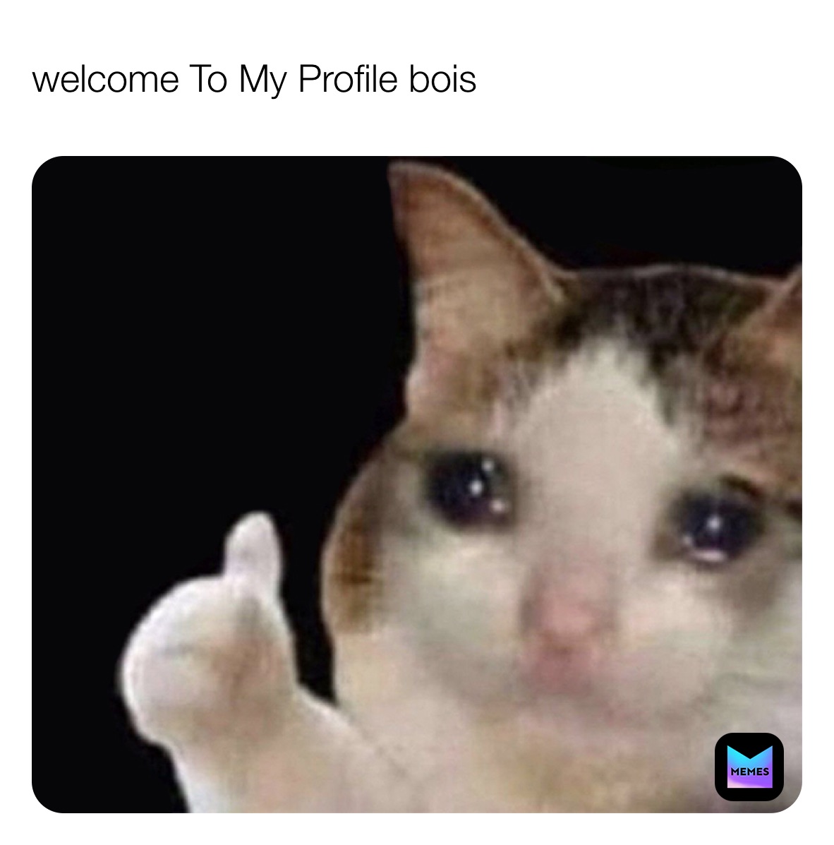 Meme by tanoshimoonflower