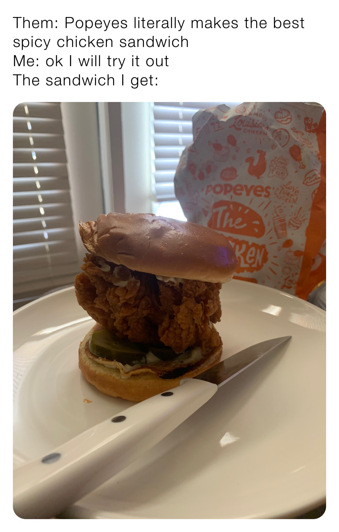 Them: Popeyes literally makes the best spicy chicken sandwich 
Me: ok I will try it out 
The sandwich I get: