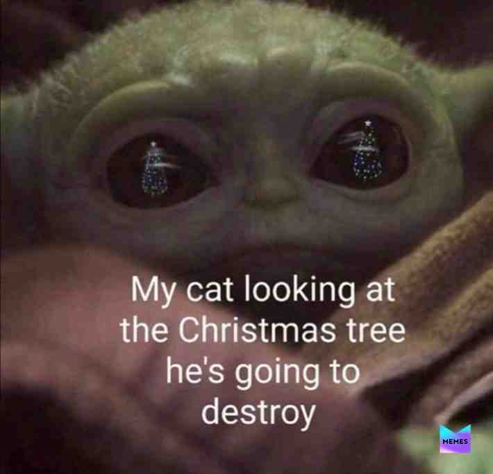 #meme #memes #bestmemes #instamemes #funny #funnymemes #dankmemes #offensivememes #edgymemes #spicymemes #nichememes #memepage #funniestmemes #dank #memesdaily #jokes #memesrlife #memestar #memesquad #humor #lmao #igmemes #lol #memeaccount #memer #relatablememes #funnyposts #sillymemes #nichememe #memetime #memeimages #newestmemes #todaymemes #recentmemes #decentmemes #memearmy #memedose #memehumor #questionablememes #sickmeme #oldmeme #unusualmeme #memeculture #memehour #bizarrememe #scarymeme #sarcasm #goofymemes #entertaining #ironic #stupidmemes #crazymemes #lightmeme #annoyingthings #memehearted #wtfmeme #dogmemes #catmeme #fortnitememes #clevermemes #oddlymemes #dumbmemes #interestingmemes #likablememes #beameme #fulltimememer #cornymeme #surrealmeme #wowmemes #originalmemes #creepymemes #memefarm #mememaker #memebased #meming #memelord #latinmemes #schoolmemes #relevantmeme #bestjokes #memeboss #dadjokes #famousmemes #memeintelligence #memeuniversity #gamingmemes #rapmemes #coldmemes #memeit #prettyfunny