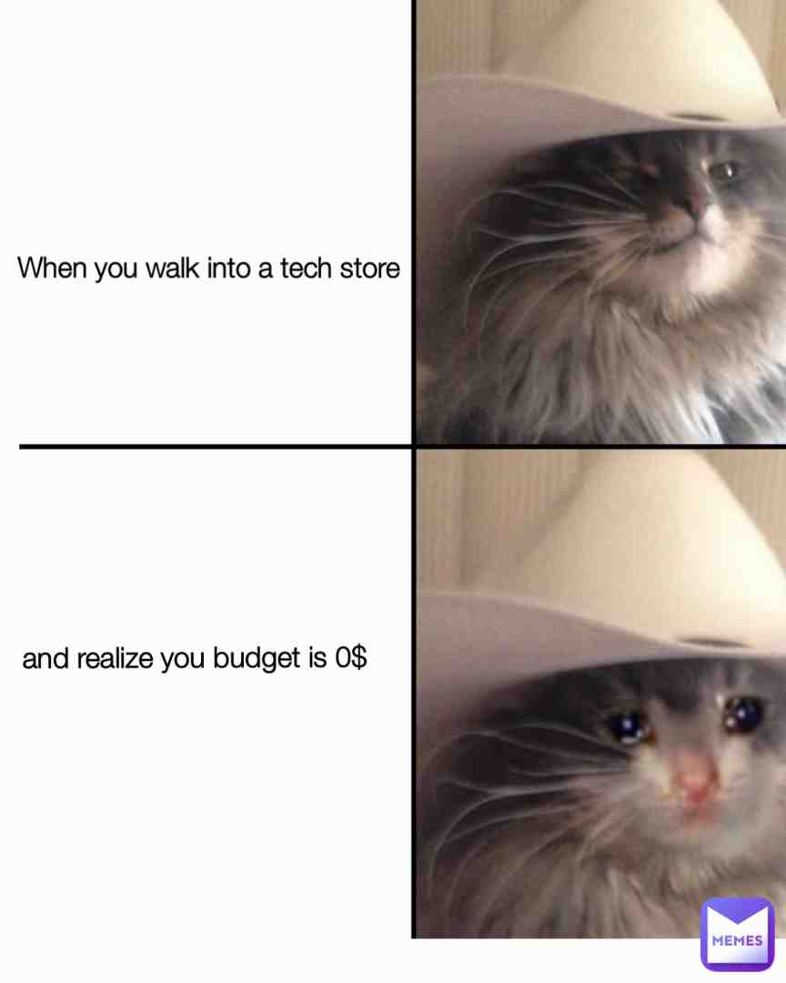 Meme shared by @TheSecretMemer