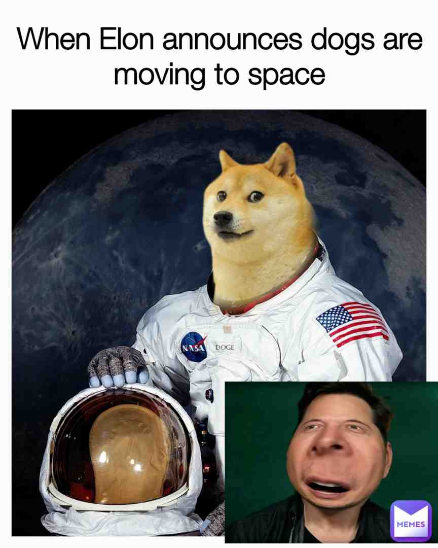 I am not a dog!