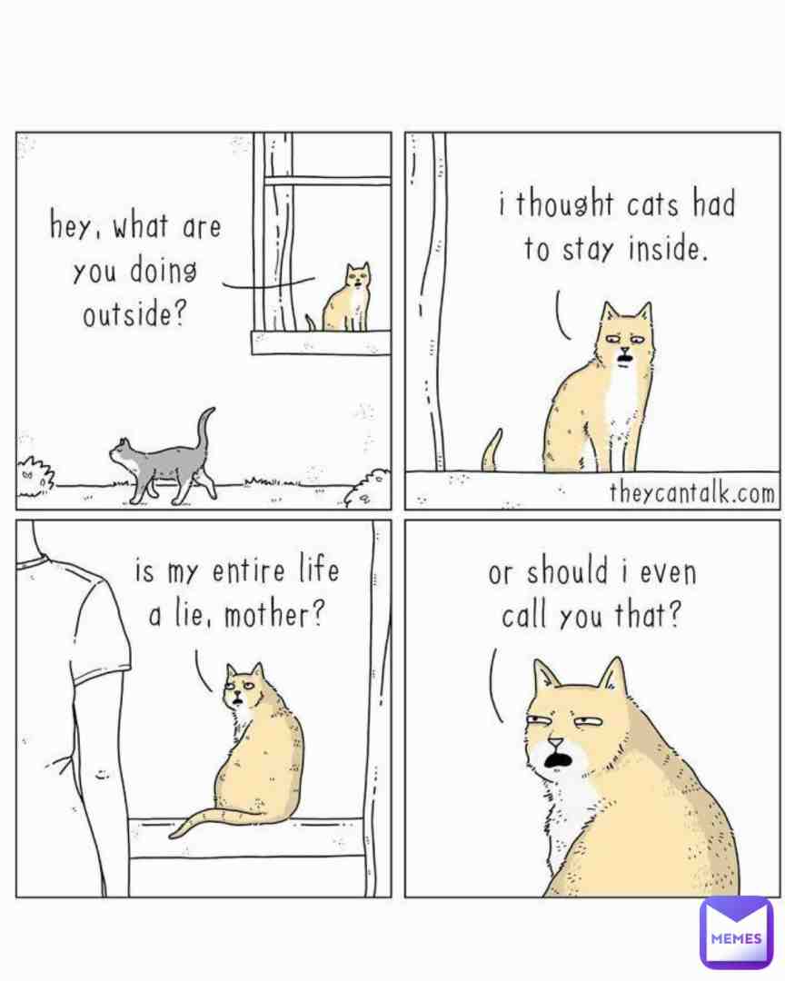 Hmm lets think as a cat perspective