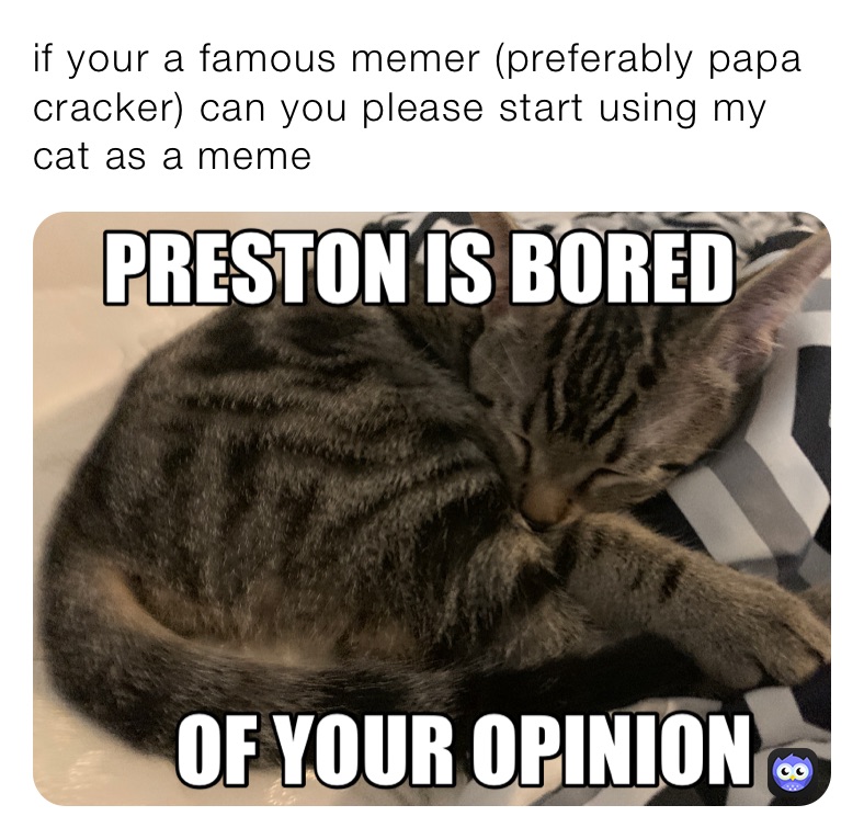 if your a famous memer (preferably papa cracker) can you please start using my cat as a meme