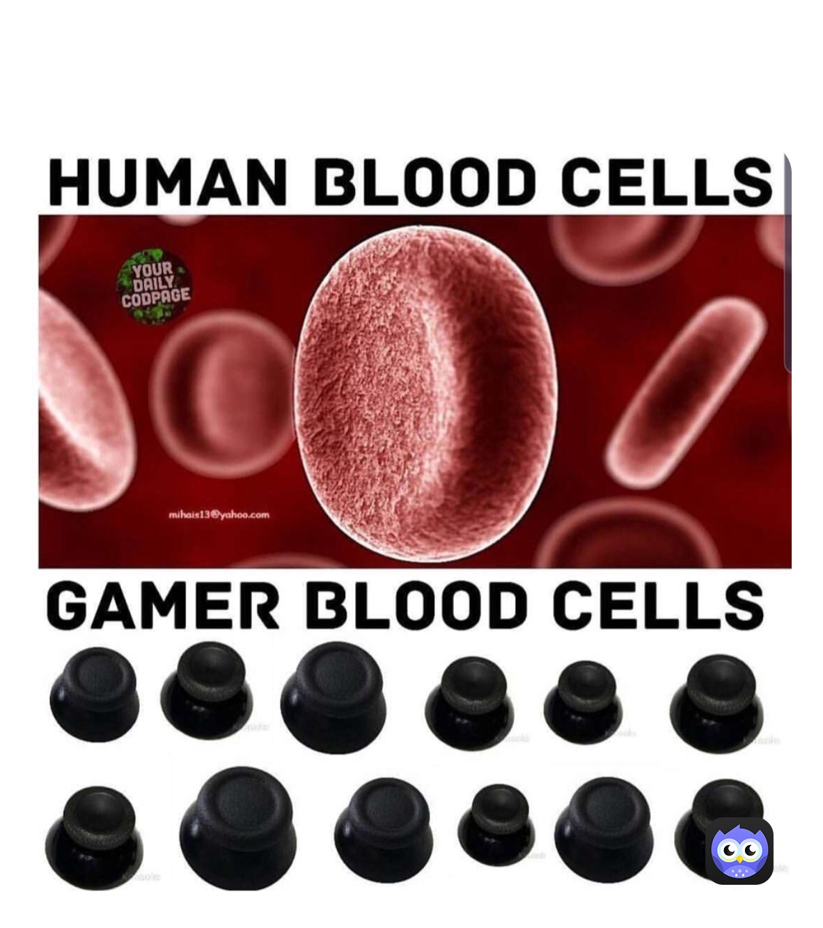 Meme by gangsterblast91