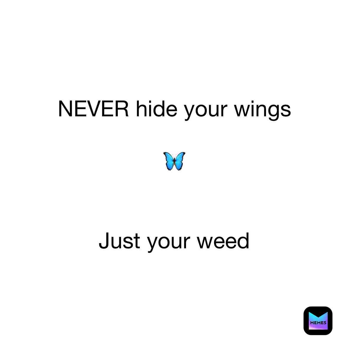 #memesdaily  #memes