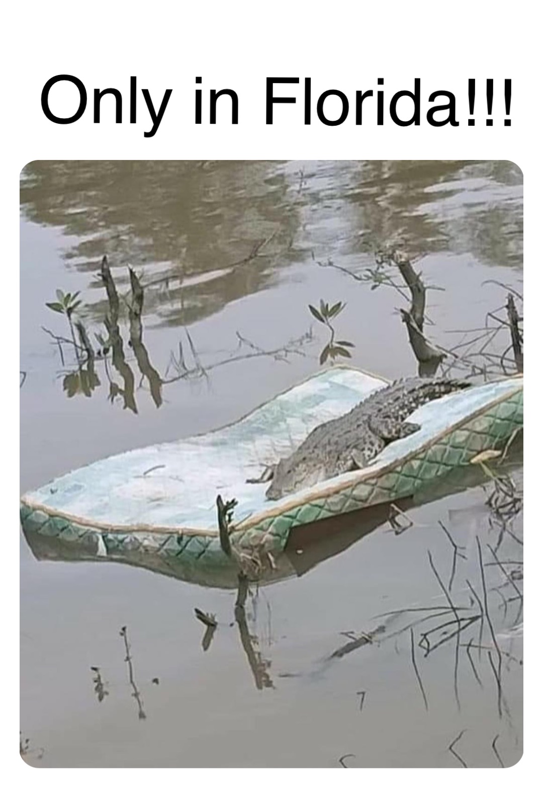 Double tap to edit Only in Florida!!!