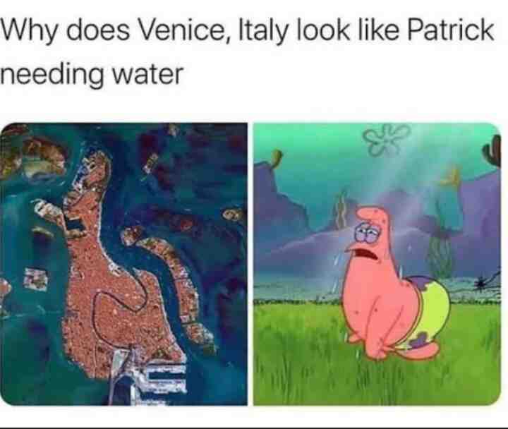 Meme shared by @TheYellowToad