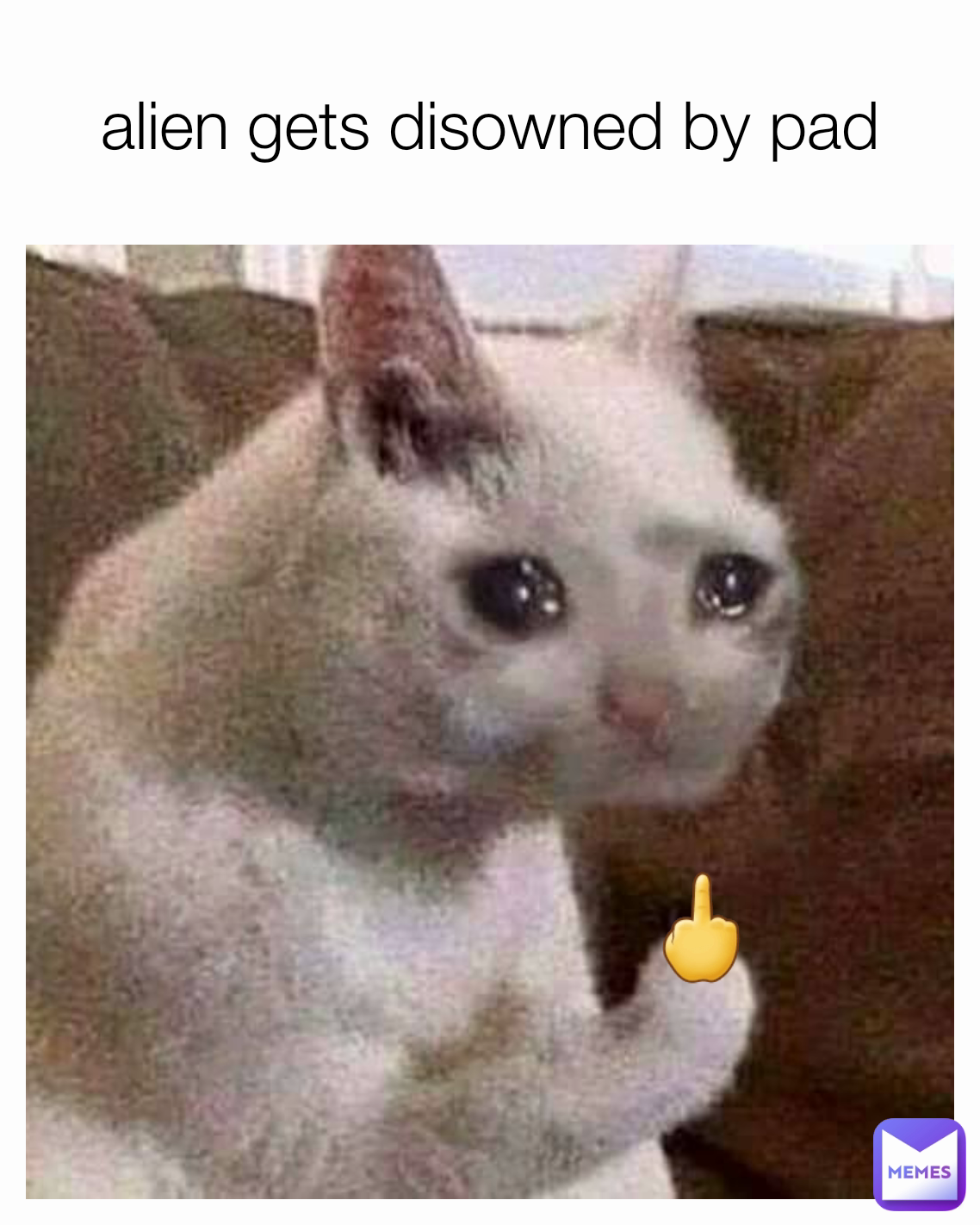 Meme by rawr_1645139970