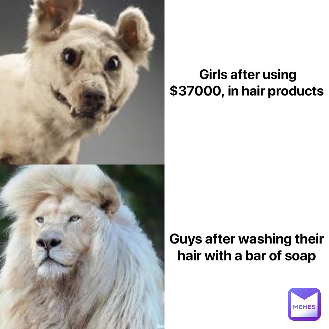 Girls after using $37000, in hair products Guys after washing their hair with a bar of soap