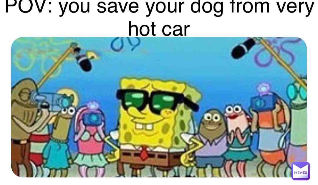 Meme preview