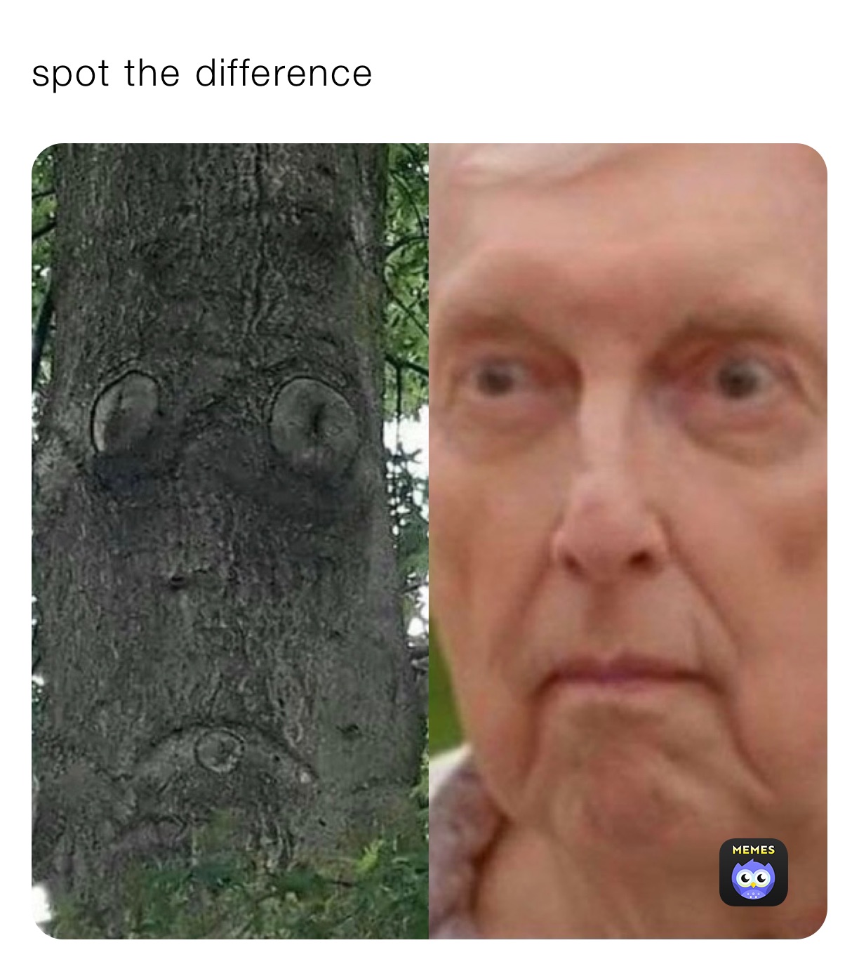 spot the difference 
