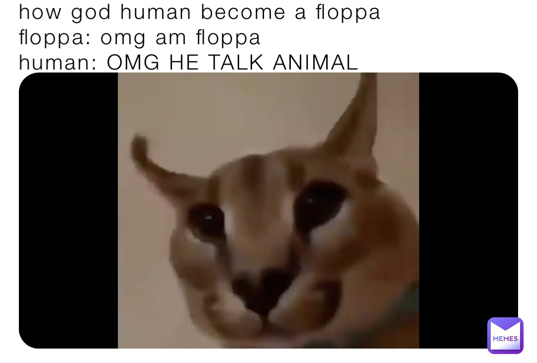 how god human become a floppa 
floppa: omg am floppa
human: OMG HE TALK ANIMAL