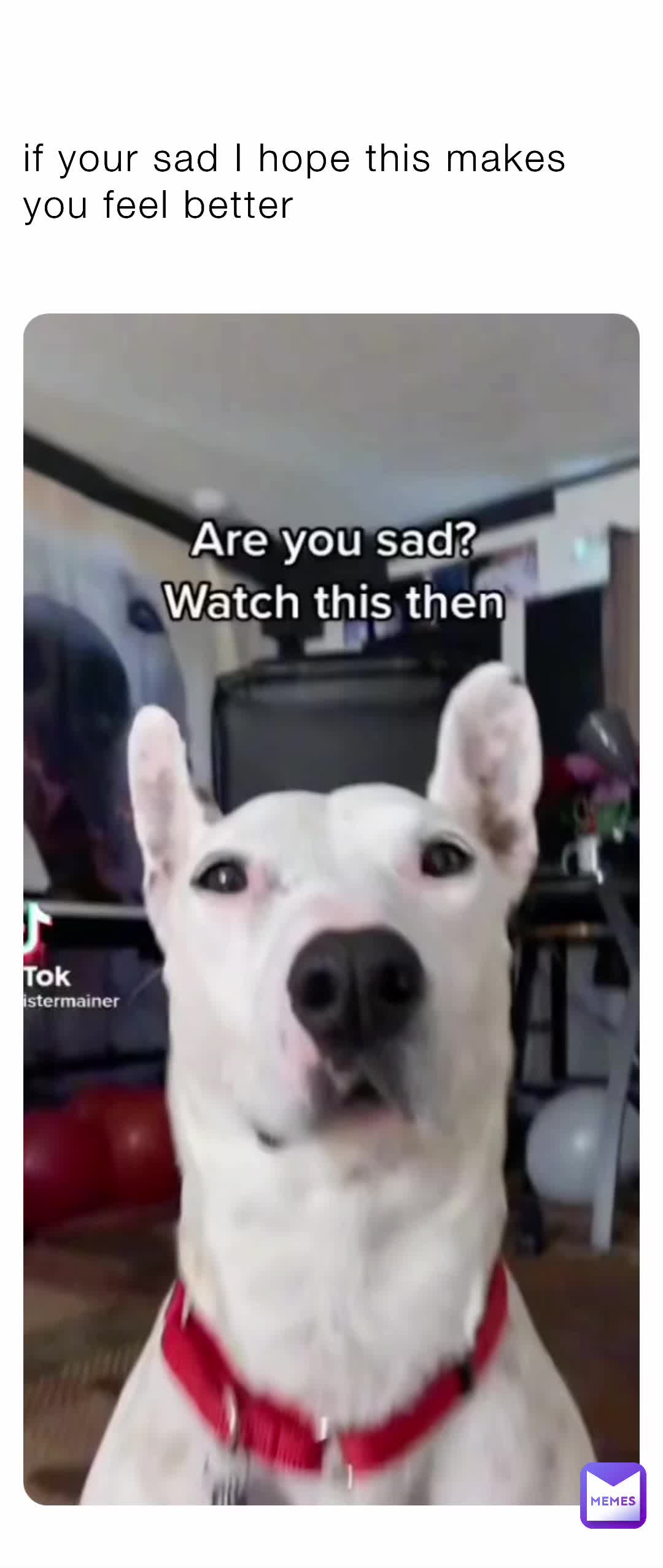 Meme shared by @Collkidboiiiii