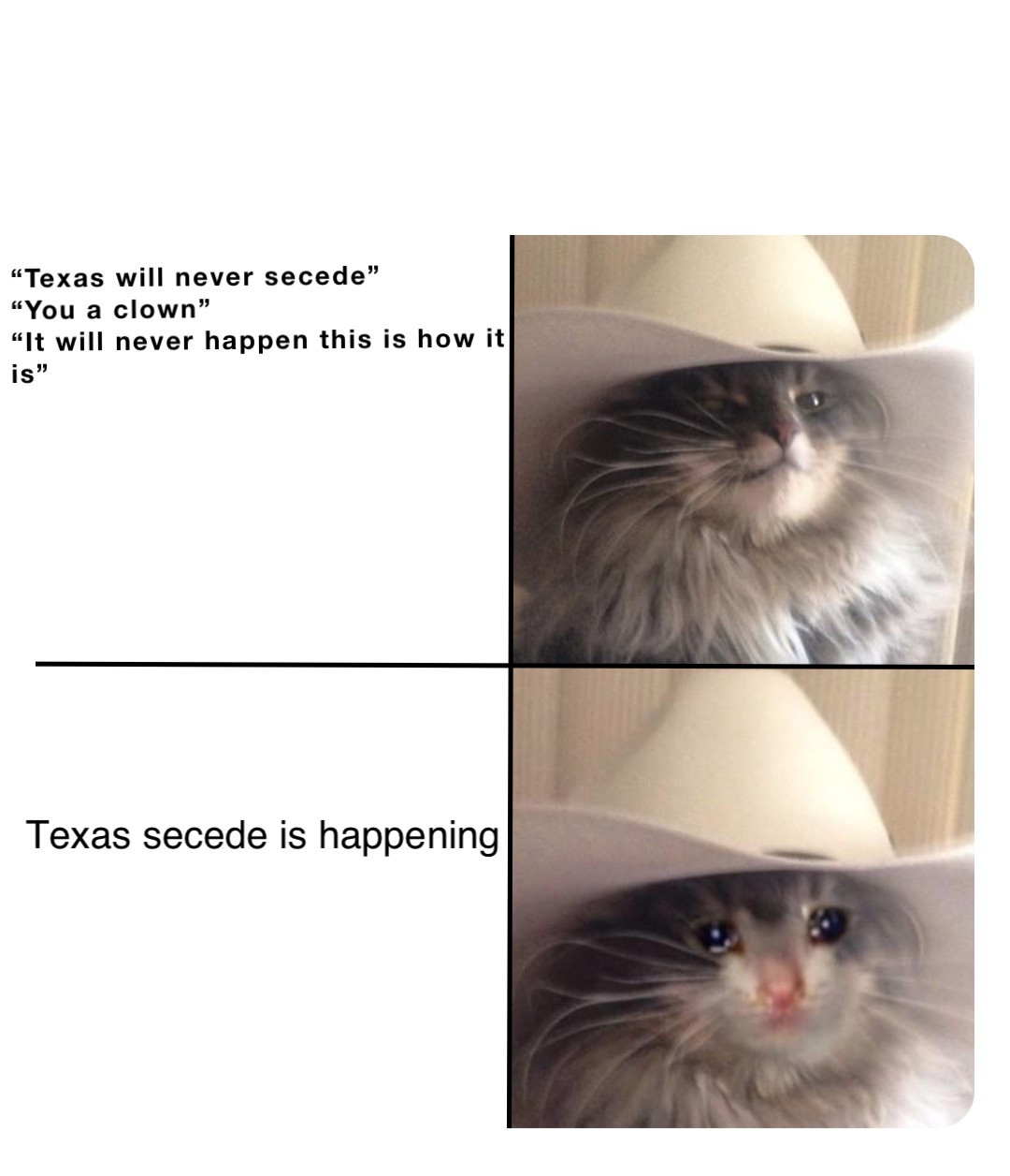 “Texas will never secede”
“You a clown”
“It will never happen this is how it is” Texas secede is happening