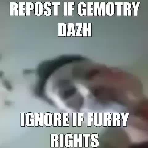 Meme shared by @username12354