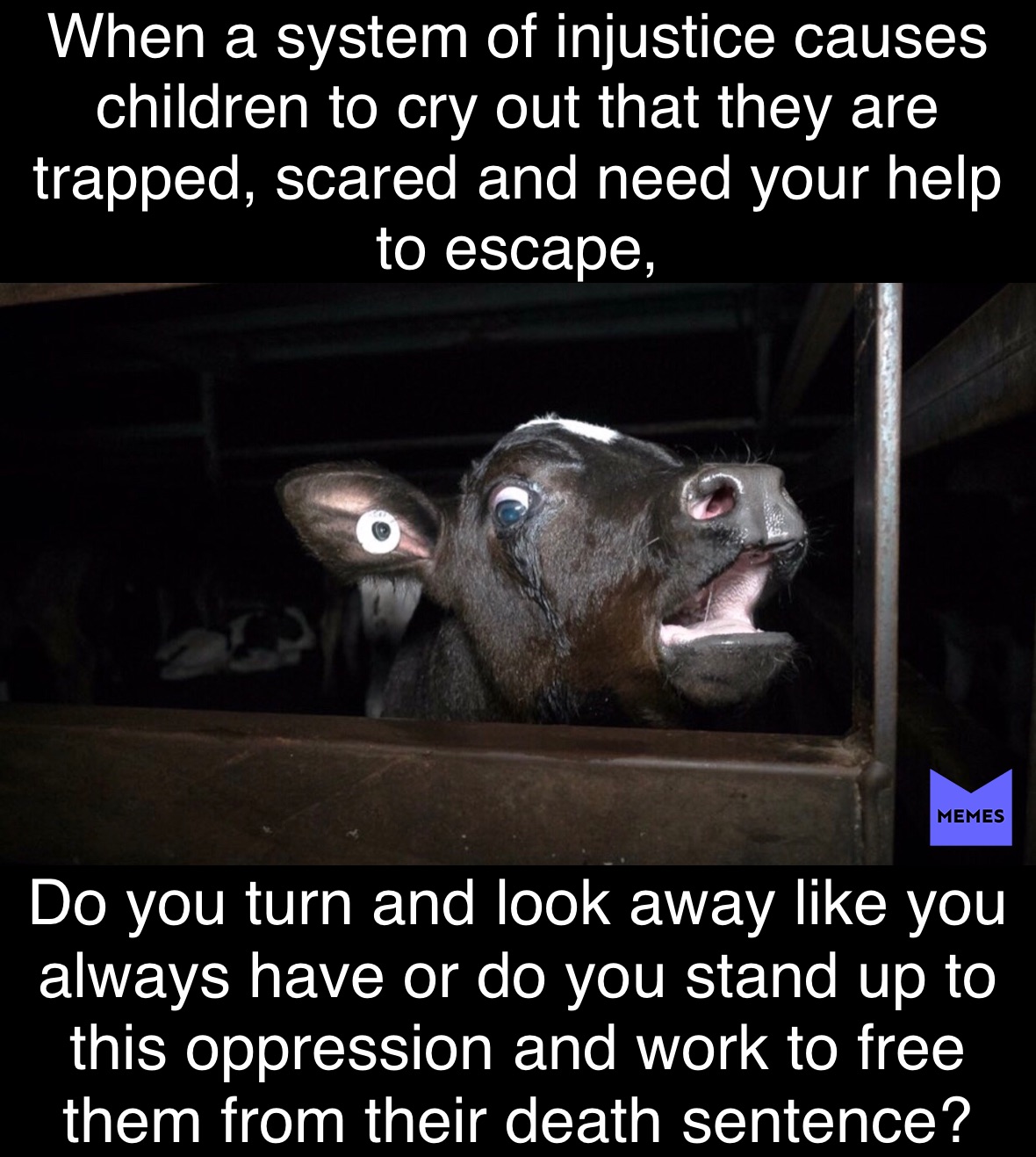 Officials identify 22-year-old Tyler Robinson of Utah as suspected shooter  of Charlie Kirk, image size:1180x1317