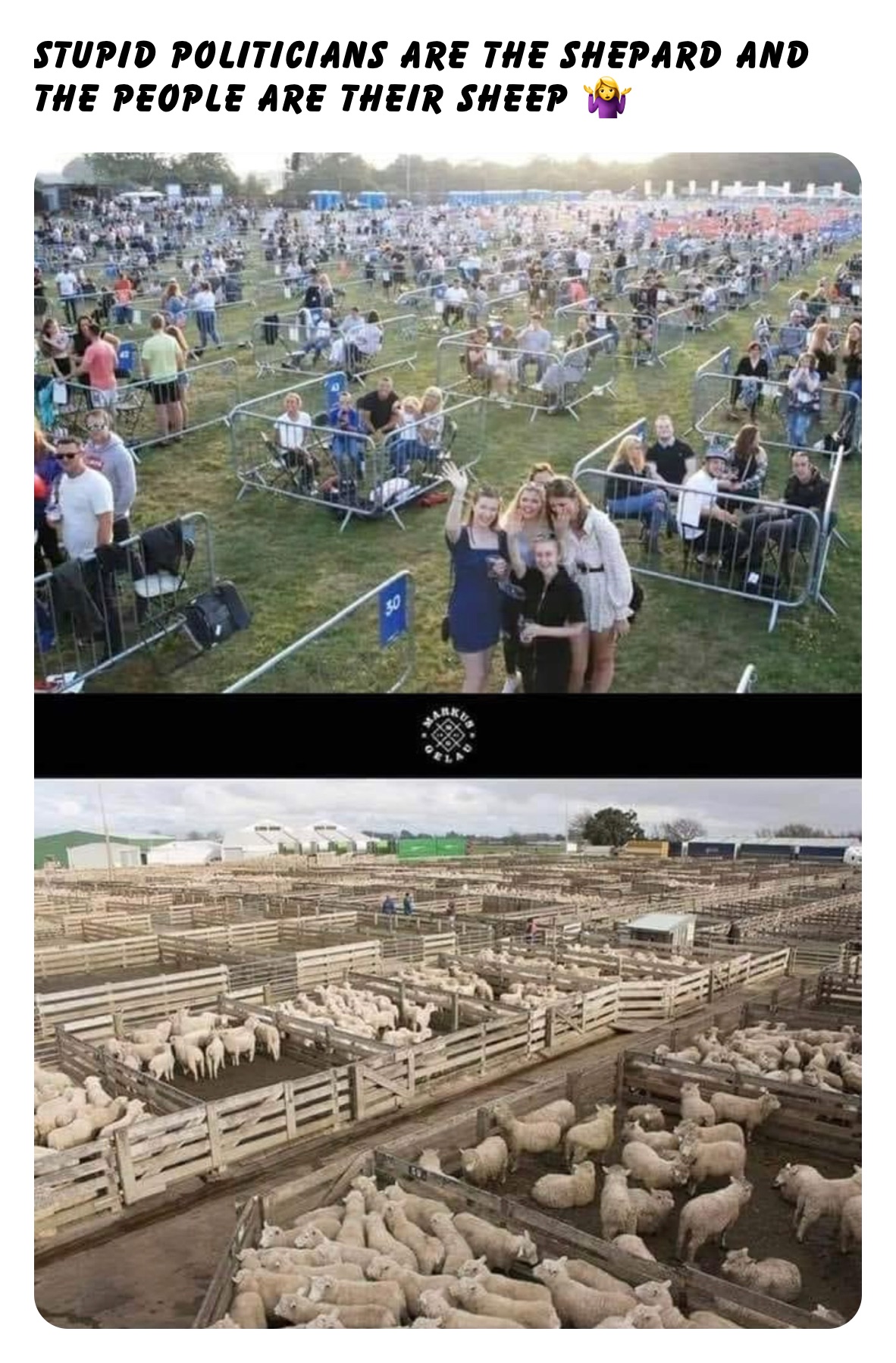 Stupid politicians are the Shepard and the people are their sheep 🤷‍♀️