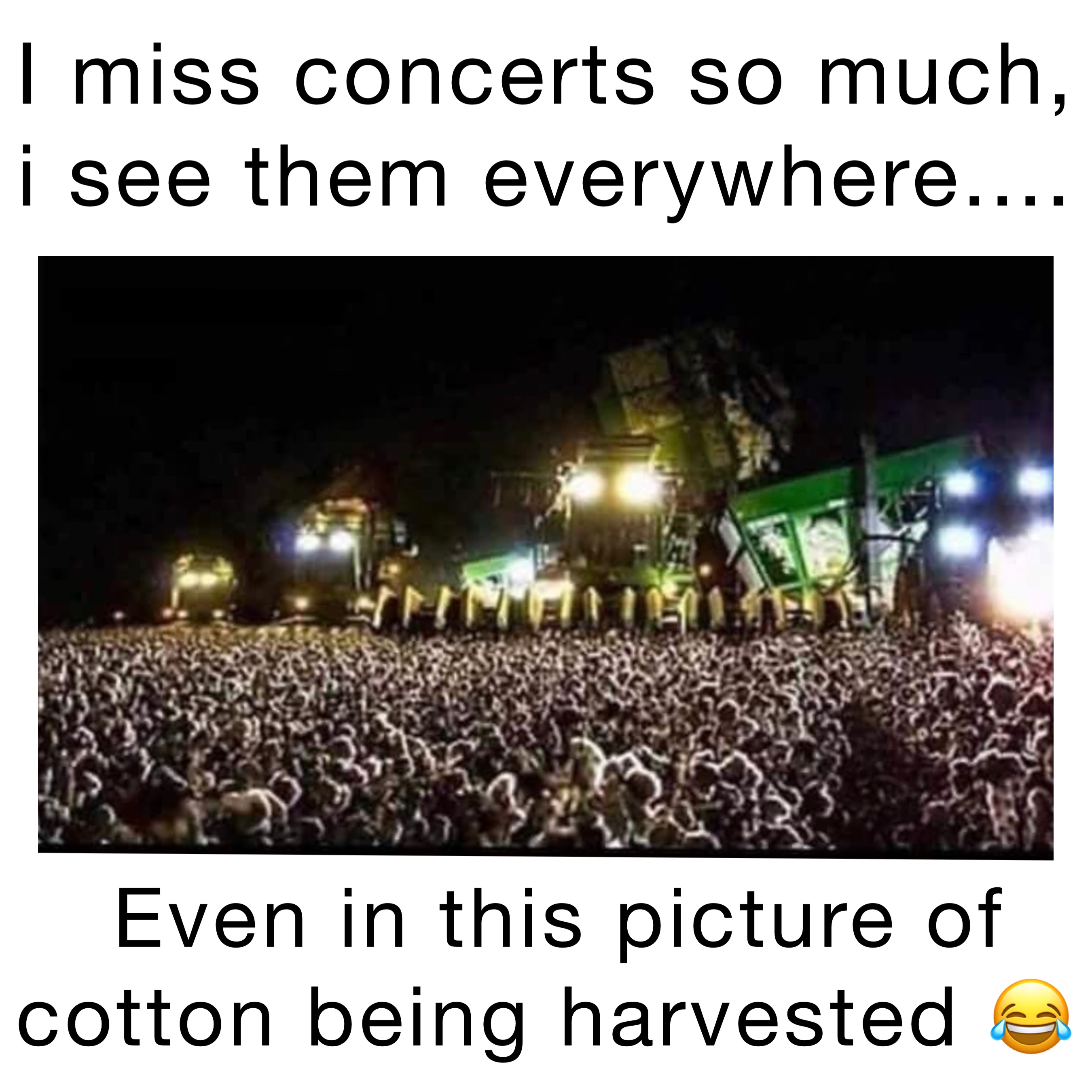 I miss concerts so much, I see them everywhere.... Even in this picture of cotton being harvested 😂